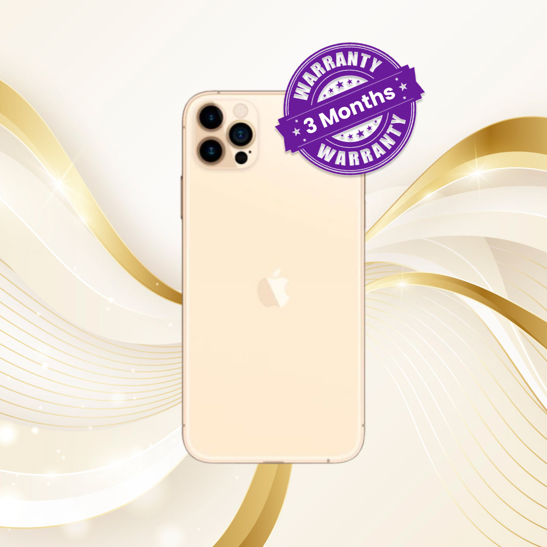 Apple iPhone 12 Pro Max [256GB | 100%]