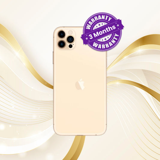Apple iPhone 12 Pro Max [256GB | 100%]
